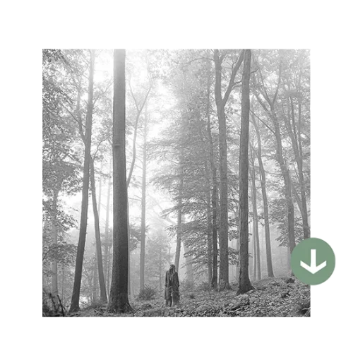 FOLKLORE DIGITAL DELUXE ALBUM