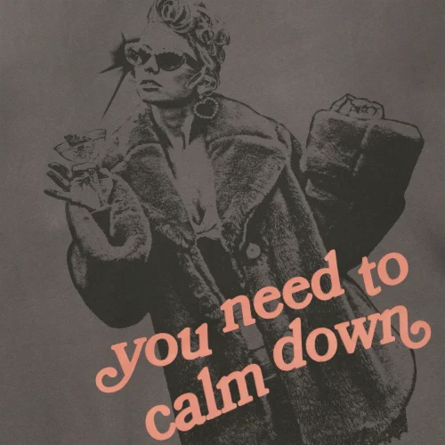 YOU NEED TO CALM DOWN HOODIE - Image 3
